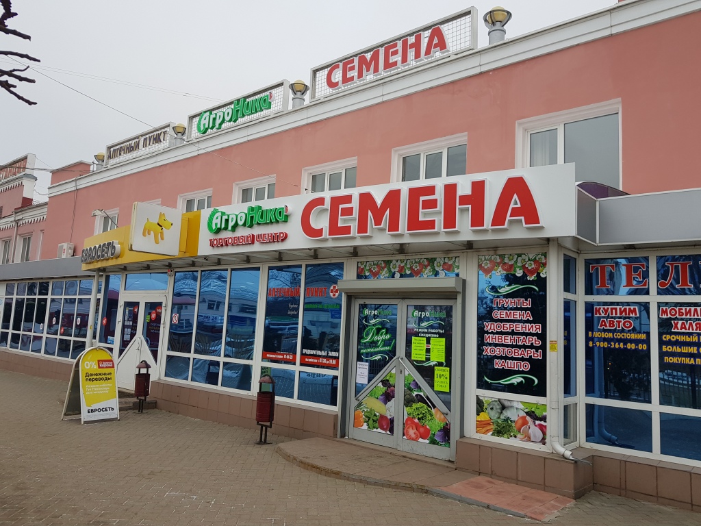 Семена Брянск Магазины